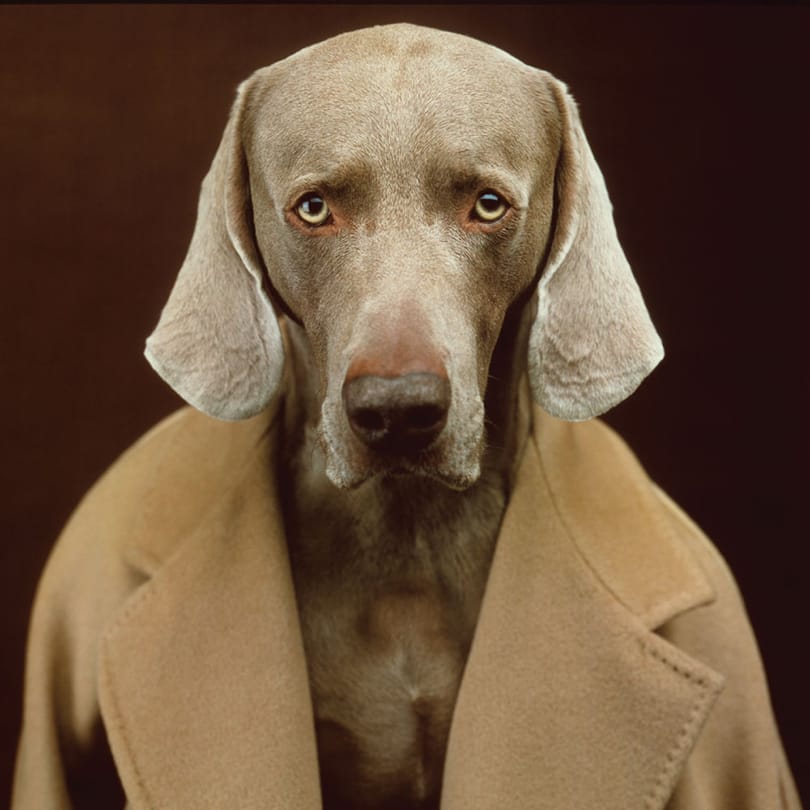 Img Gallery 405x405 01 Max Mara Img Gallery 405x405 01 Max Mara