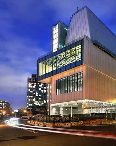 Whitney Museum of American Art <br> #NewWhitney cover.jpg