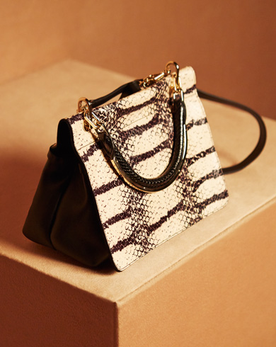SHOP THE BAGS Max-Mara-BTS-SS_12464.jpg