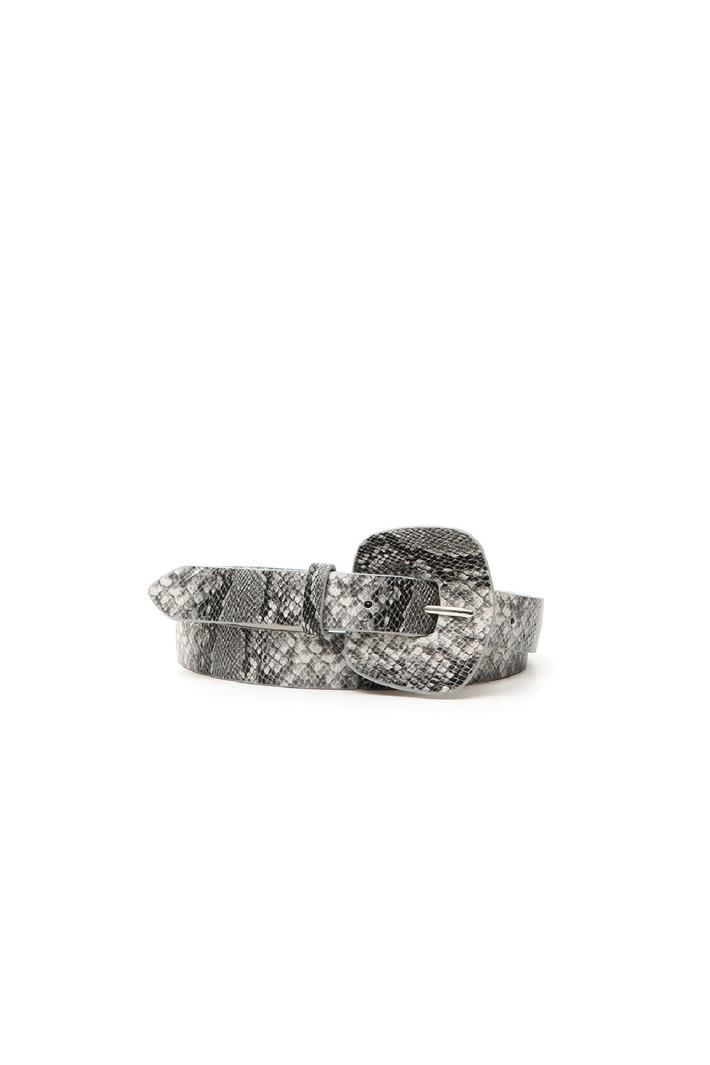 Reptile print belt Intrend Reptile print belt Intrend